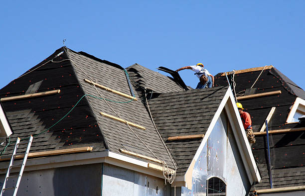 Best Roof Insulation Installation  in Boscobel, WI